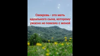 Свекровь - это мать идеального сына, которому ужасно не повезло с женой #свекровьиневестка #свекр