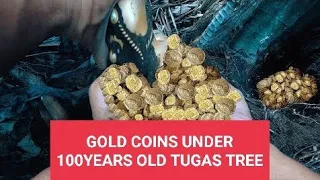 THIS ANCIENT GOLD IS WAITING TO BE DISCOVERED BY HUMAN BEINGS FOR A DECADE#treasure hunt #gold