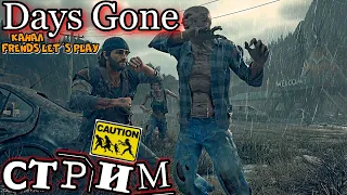 Days Gone(Воскресный стрим)