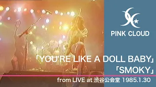 【 PINK CLOUD tribute - tri moon TV 】”YOU'RE LIKE A DOLL BABY” ”SMOKY” from渋谷公会堂公演(1985年)