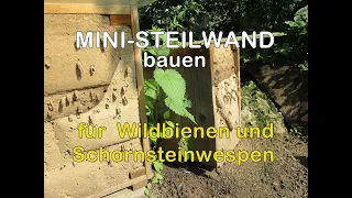 Ministeilwand bauen für Wildbienen und Schornsteinwespen