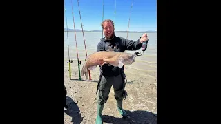 catfishing utah lake ( two new PB)