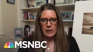 Mary Trump Labels President ‘Deeply Unpatriotic’ After Report On Income Tax Records | MSNBC