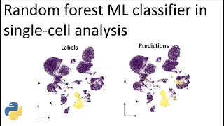 Applying random forest classifiers to single-cell RNAseq data