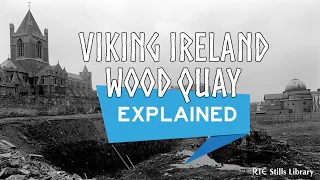 Viking Ireland - Wood Quay