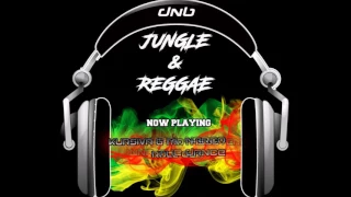 Reggae & Jungle DnB mix (by Pedris)