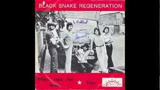 Black Snake Regeneration - Where Ever You Want (Original 45 Belgian psych freakbeat pop funk)