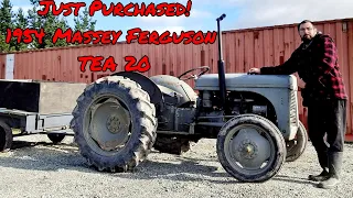 1954 Ferguson TEA 20 Tractor.Cold Start, Walkaround & Introduction.