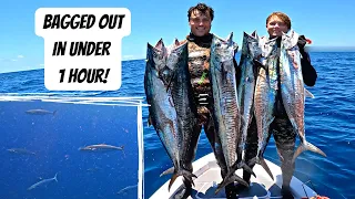 We found a MEGA school of SPANISH MACKEREL | Spearfishing Gold Coast, QLD Australia