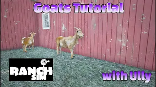 Ranch Simulator Tutorial #8: Goats