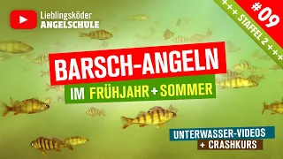 Barsch Angeln im Frühjahr + Sommer 🎣 (Staffel 2, Folge 9)