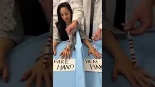 Fake hand and real hand experiment।। watch full video।।