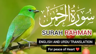 Surah Al Rahman I English and Urdu translation Amazing Quran Tilawat with Beautiful Visuals I