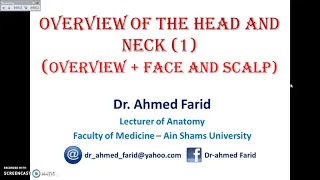 Overview of the Head and Neck   Exterior 1 [The Scalp] Dr.Ahmed Farid