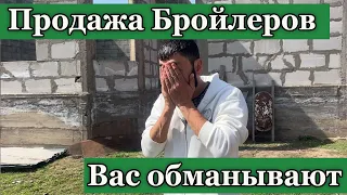 Бройлер Кобб500 вас обманывают///Срочно смотреть