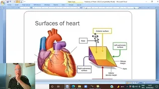 Anatomy CVS  Module  in Arabic  3 ( Atria of the heart) ,  by Dr, Wahdan