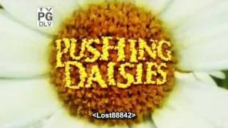 Pushing Daisies Generique