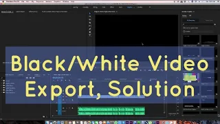 Premiere Exports Black/White Video Issue Solved