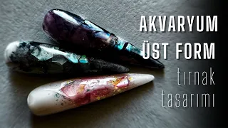 Akvaryum Üst Form