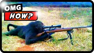 Genius Animals That Will BLOW Your Mind! Caught On Camera!