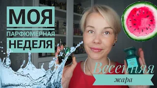 Моя ПАРФЮМЕРНАЯ неделя☆ Ароматы для весеннего зноя☆T. Ford•Dior•Guerlain•Paco Rabbane•etc