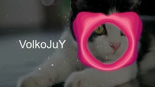 ILUMILAND - Позови кота с собой (VolkoJuY Remix) [DnB]
