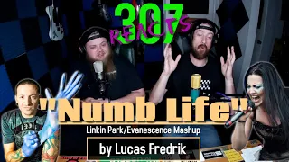 Numb Life (Linkin Park/Evanescence Mashup) by Lucas Fredrik -- WHAT?! --  307 Reacts -- Episode 266