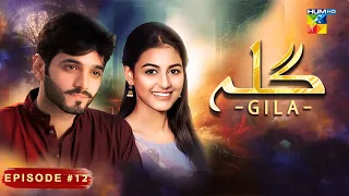 Gila Episode 12 [ Wahaj Ali - Anzela Abbasi ] Best Pakistani Serial - HUM TV