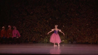 Pas de Trois Swan Lake - Isabelle Luu Li Haas