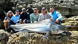 176kg Land-based Black Marlin - Unofficial World Record Fish