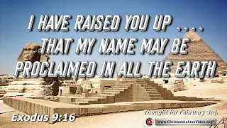 Thought for February 3rd  "I have raised you up"  Exodus 9:16