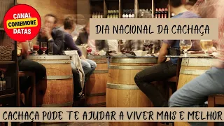 DIA NACIONAL DA CACHAÇA - 13/09 🍸🥃 Como Viver Mais e Melhor Bebendo Cachaça