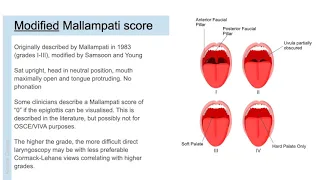 Anaesthetic airway assessment