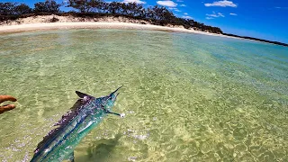 Marlin On Tropical Beach!