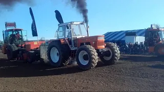 fiat 1300 dt tractorpulling