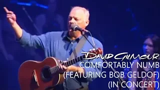 David Gilmour - Comfortably Numb (Reprise) (In Concert)