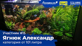 Травник 200 л. Участник №15 в категории от 101 литра #Scalariki​ Aquascaping Contest 2021