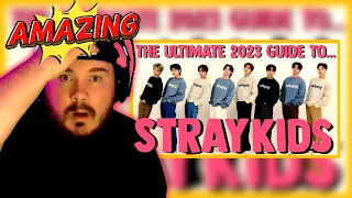THE ULTIMATE 2023 GUIDE TO STRAY KIDS | REACTION