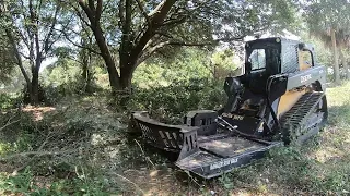 WATCH OUT, LOW CEILING! Mulching Under Big Oak Trees With MTL XCT!