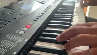 Martin Garrix - Animals - cover yamaha psr e463