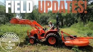 How Has 140 Year Old Farm Recovered From Wisteria Removal? Field Mowed and More