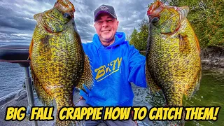 BIG FALL CRAPPIE- How To Find & Catch them!