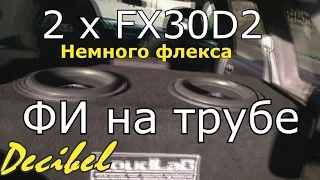 2 x FX30D2 в ФИ корпусе на трубе от Decibel