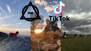 Therian and Quadrobics TikToks || Compilation 🐾🪱🪲|| Alterhumans of TikTok #68