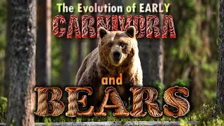 The early Carnivores and the Evolution of Bears (Carnivora, pt.1/6)