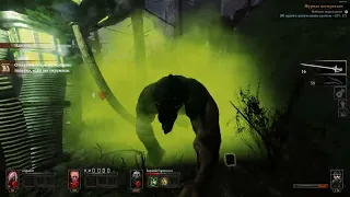 Warhammer  End Times Vermintide - Ping + NOT native resolution + old animations = EZ
