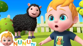 Baa Baa Black Sheep + More Kids Songs | NuNu Tv Nursery Rhymes