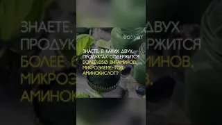 Спіруліна і Хлорелла.