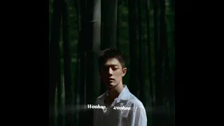 夢然 Meng Ran – 少年 Shao Nian #pinyinlyrics #pinyin #xiaozhan