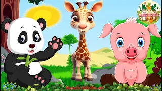 Animal Videos: Giraffe, Panda, Pig, Rhinoceros - Soothing Music in Nature